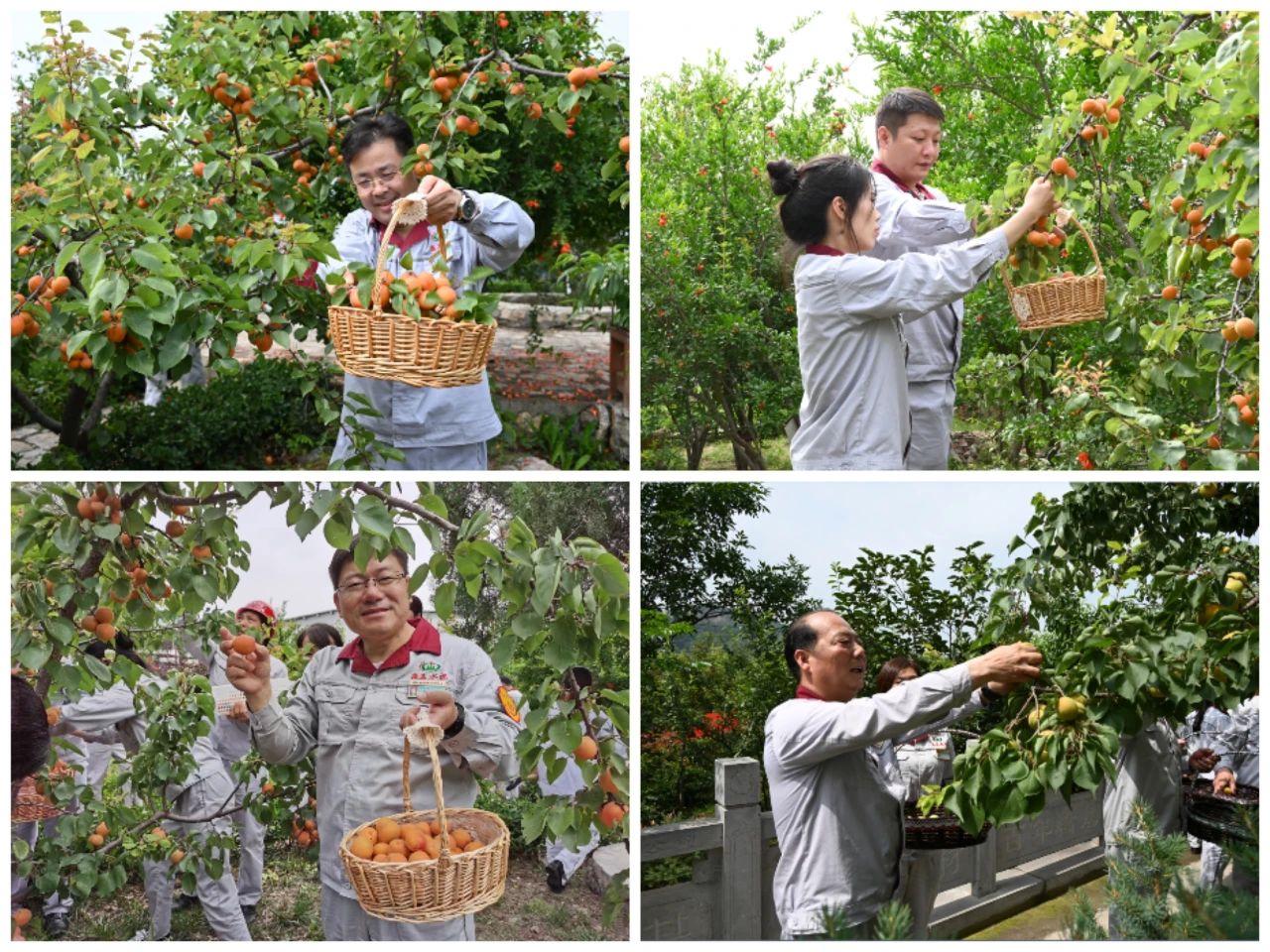 微信圖片_20230602171757.jpg 微信圖片_20230602171757.jpg